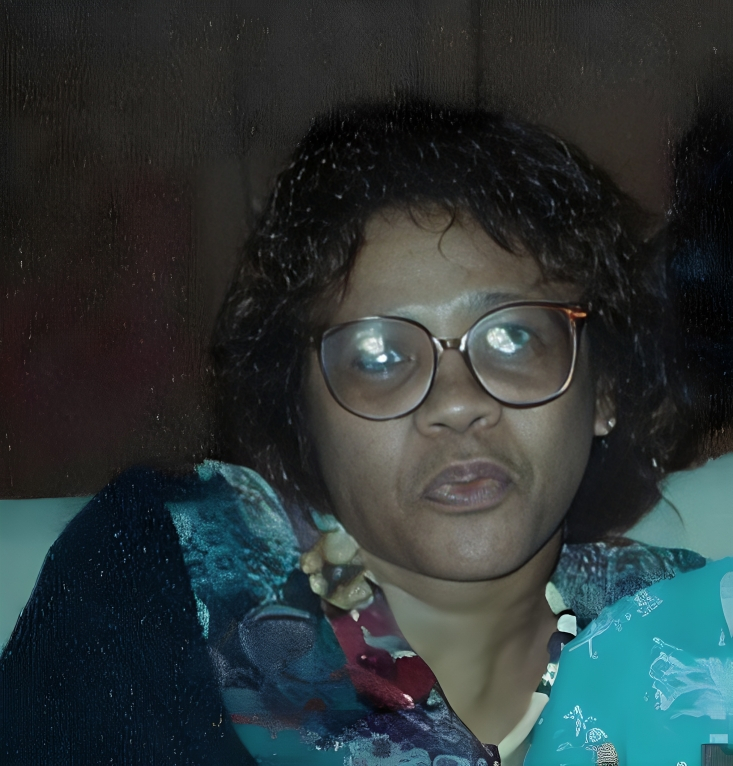 Raye Evelyn Jenkins Stone